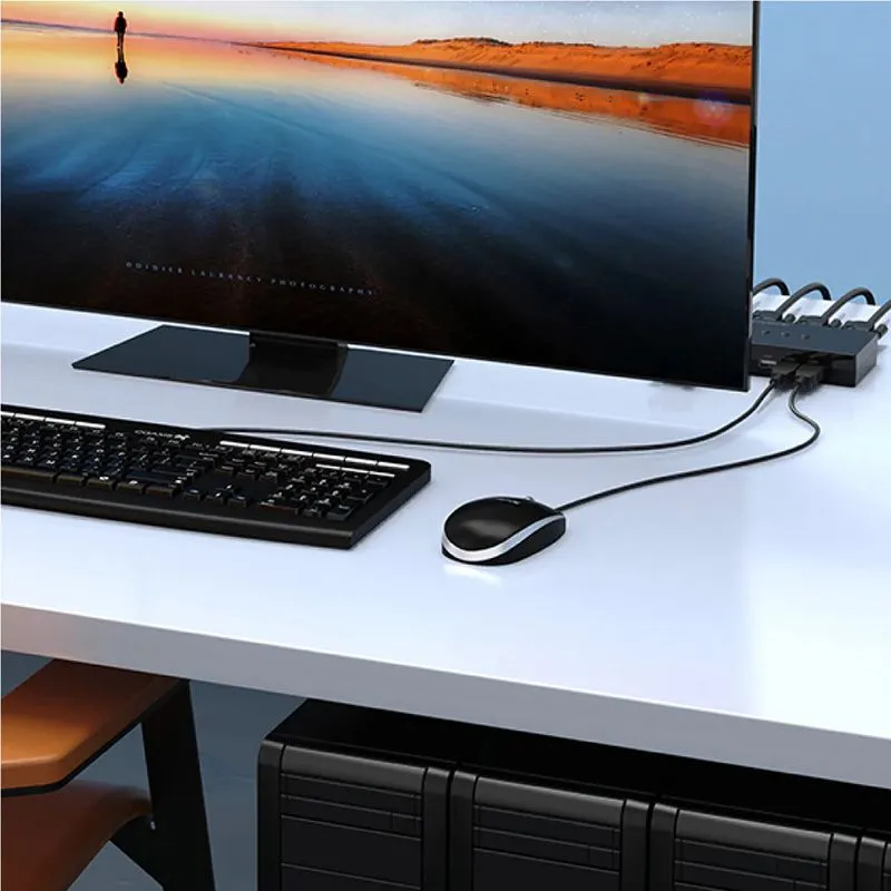 Bộ Gộp KVM VGA 2 Vào 1 Ra Unitek U-8709ABK (1080P) 3