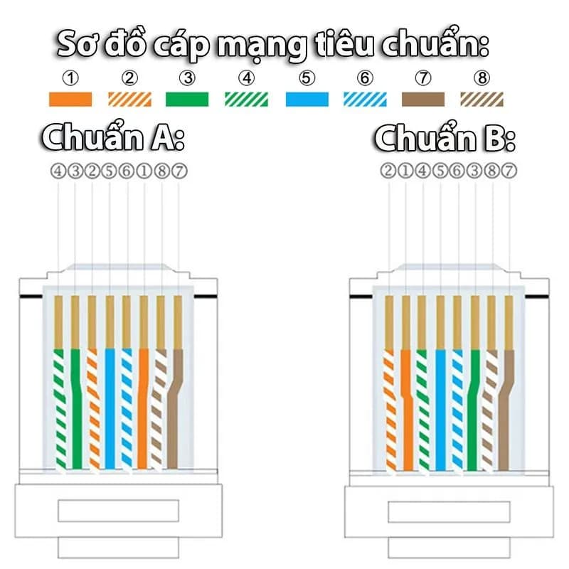 Hạt Mạng RJ45 Cat6 Ugreen 50962 (Túi 50 Cái) Chân Mạ Vàng